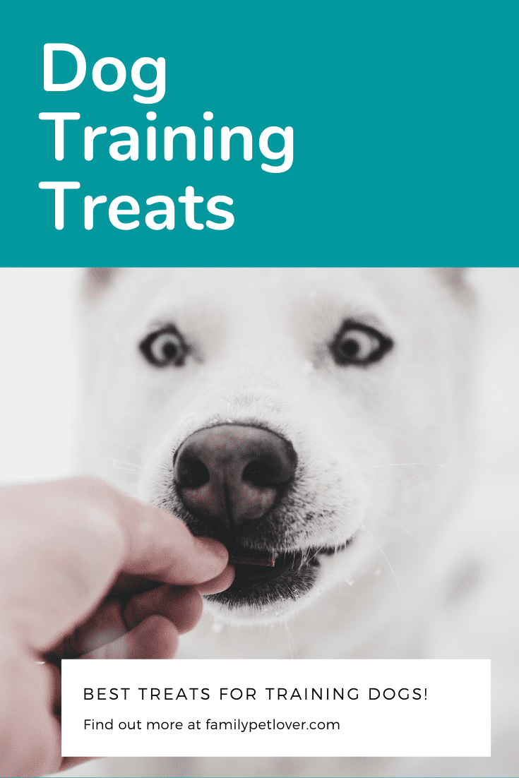 Best Dog Training Treats