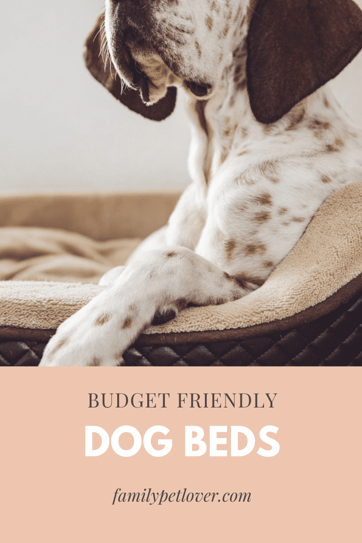Cheap Dog Beds for Large Dogs